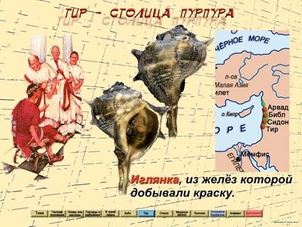 Контрольная работа по теме Мореплавание финикийцев